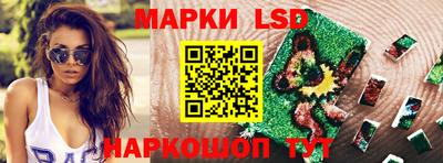 гидра Будённовск