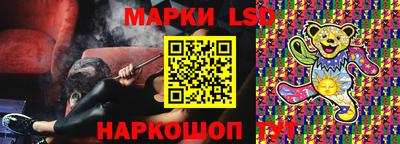 гидра Будённовск