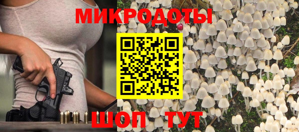 Псилоцибиновые грибы мицелий Арсеньев